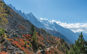 vue montagne en automne 