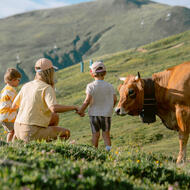 famille en montagne vache