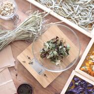 Plantes séchées pour faire des tisanes